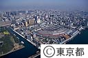 中央卸売市場