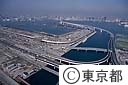 １３号地
