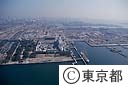 １３号地