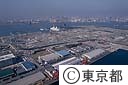 青海地区