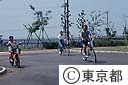 若洲海浜公園でサイクリングを楽しむ人たち