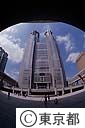 都民広場から見た第１本庁舎