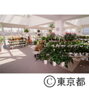 木場公園内の緑の相談所にある温室