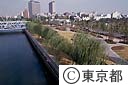 木場公園にある遊歩道
