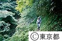 水源林を行く水源管理事務所の職員