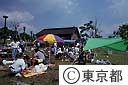 芝生広場がありキャンプが楽しめる城南島海浜公園