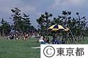 芝生広場がありキャンプが楽しめる城南島海浜公園