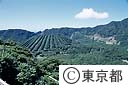 空からの青ヶ島（空撮）
