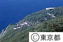 御蔵島港の崖上に、密集した村落、１３０世帯が暮らしている