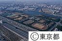 大井埠頭中央海浜公園（空撮）