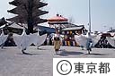 浅草白鷺の舞