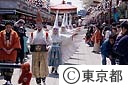 浅草白鷺の舞