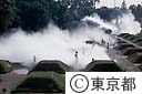 昭和記念公園内の子供の森