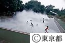 昭和記念公園子供の森