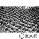 終業式の日、講堂に集合した小学生