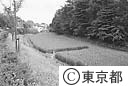 駒場野公園内にある水田