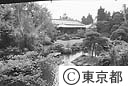 柴又帝釈天の庭