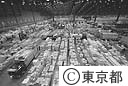大田市場の集荷場