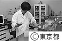 大田市場の衛生検査所で培養をする技師