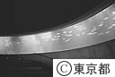 葛西臨海水族園のドーナツ型の大水槽を回遊するマグロの群