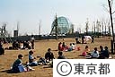葛西臨海水族園付近の芝生でお弁当を食べる遠足の小学生
