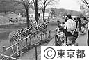 多摩動物公園のキリンの展示場