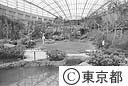 多摩動物公園　昆虫生態園の大温室内部