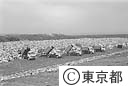 ごみ処分場に列を作っている清掃車