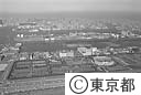 有明テニスの森公園全景（空撮）