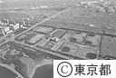 大井埠頭中央海浜公園（空撮）