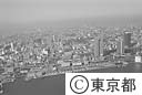 日の出桟橋全景（空撮）