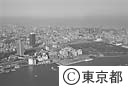竹芝桟橋と浜離宮恩賜庭園（空撮）