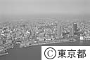 日の出桟橋（空撮）