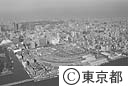 築地中央卸売市場全景