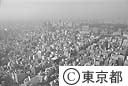 中央区のビル群（空撮）