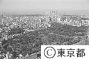 青山霊園全景（空撮）