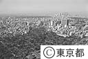 青山霊園全景（空撮）