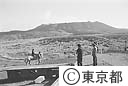 一部再開された、三原山の観光乗馬