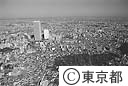雑司ケ谷霊園とサンシャインシティ（空撮）