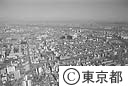 亀戸駅付近（空撮）