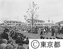 日米合同植樹祭