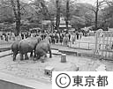 天皇皇后両陛下、上野動物園“ゾウ”ご見学