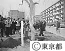 町の植樹祭　赤羽金地公園、桐ヶ谷団地