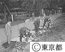東京－ニューヨーク都市提携記念行事、バラの植苗