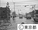 台風２４号被災地視察（東知事）