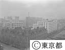 東京丸の内ビル街
