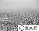 空から見た上野公園（空撮）