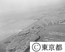 夢の島ハエの異常発生（空撮）