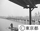 都立自然公園　江戸川水郷を訪ねて