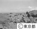 八丈島を訪ねて